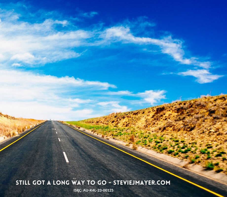 Still Got A Long Way To Go - Stevie J Mayer (cover art)